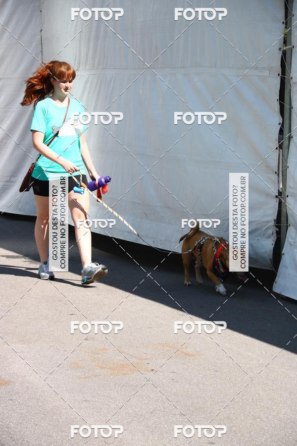 Buy your photos of the event2� Pet Run Shopping Eldorado  on Fotop