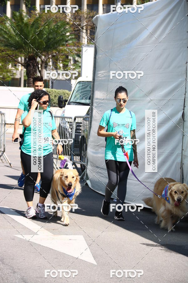 Buy your photos of the event2� Pet Run Shopping Eldorado  on Fotop