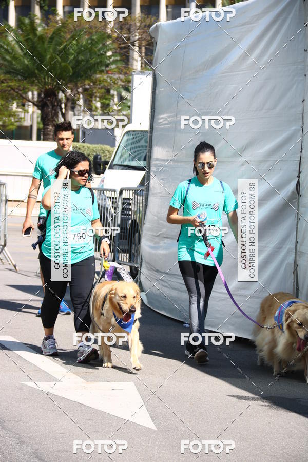 Buy your photos of the event2� Pet Run Shopping Eldorado  on Fotop