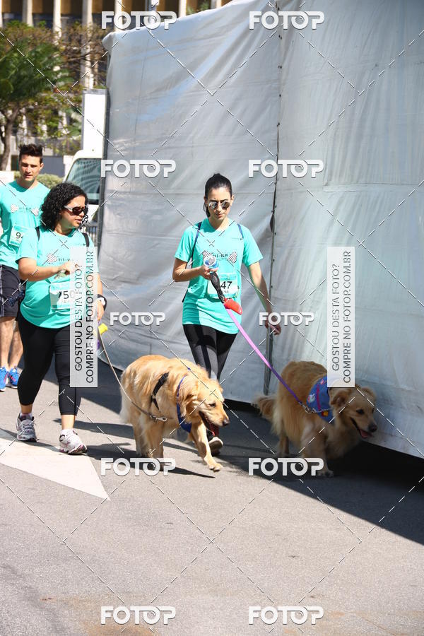 Buy your photos of the event2� Pet Run Shopping Eldorado  on Fotop
