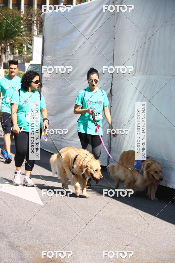 Buy your photos of the event2� Pet Run Shopping Eldorado  on Fotop