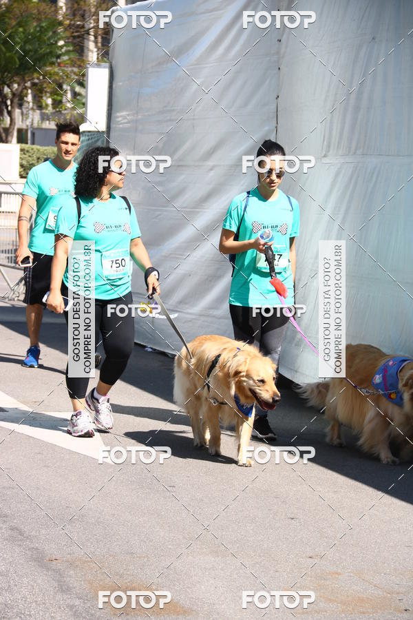 Buy your photos of the event2� Pet Run Shopping Eldorado  on Fotop