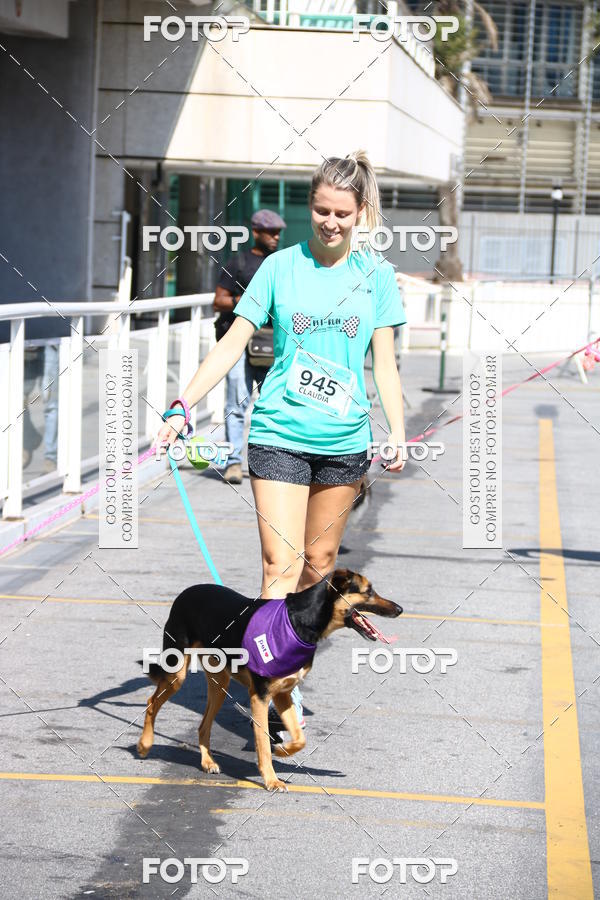 Buy your photos of the event2� Pet Run Shopping Eldorado  on Fotop