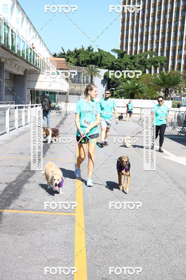 Buy your photos of the event2� Pet Run Shopping Eldorado  on Fotop