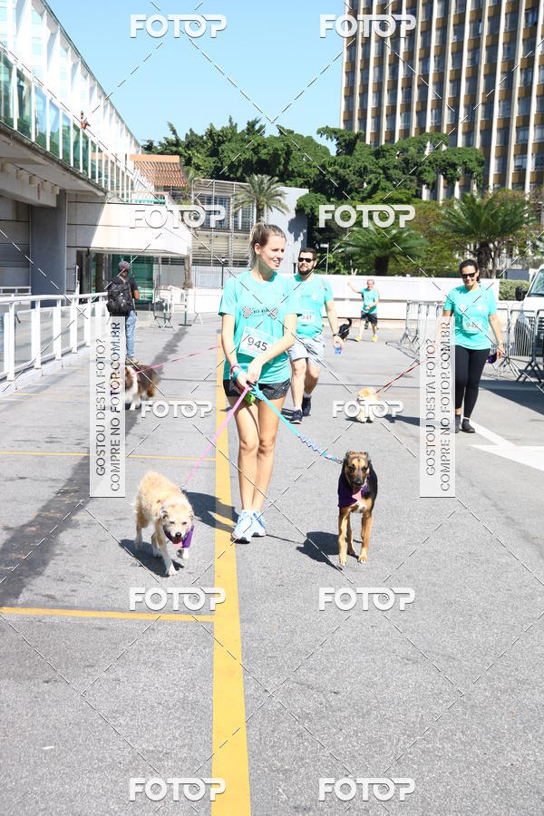 Buy your photos of the event2� Pet Run Shopping Eldorado  on Fotop