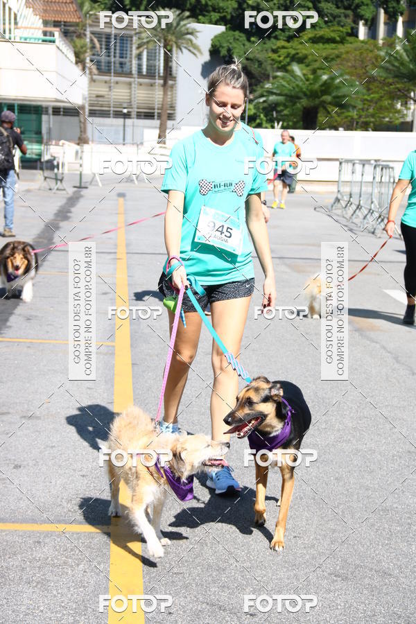 Buy your photos of the event2� Pet Run Shopping Eldorado  on Fotop
