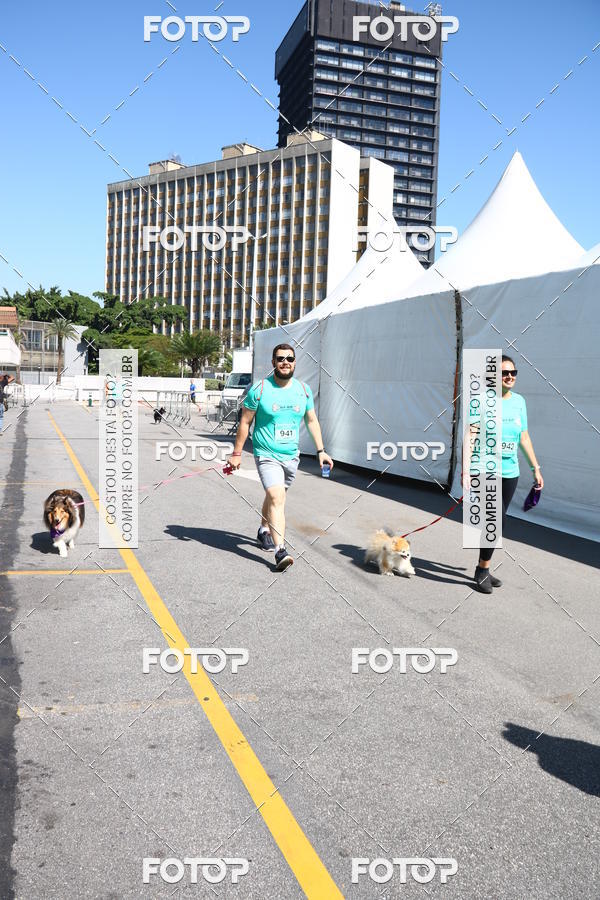 Buy your photos of the event2� Pet Run Shopping Eldorado  on Fotop