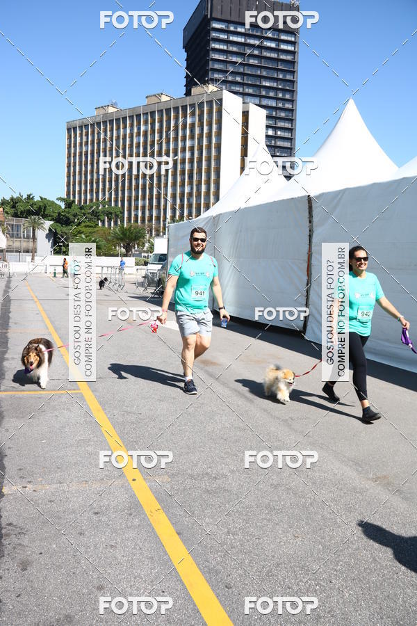 Buy your photos of the event2� Pet Run Shopping Eldorado  on Fotop