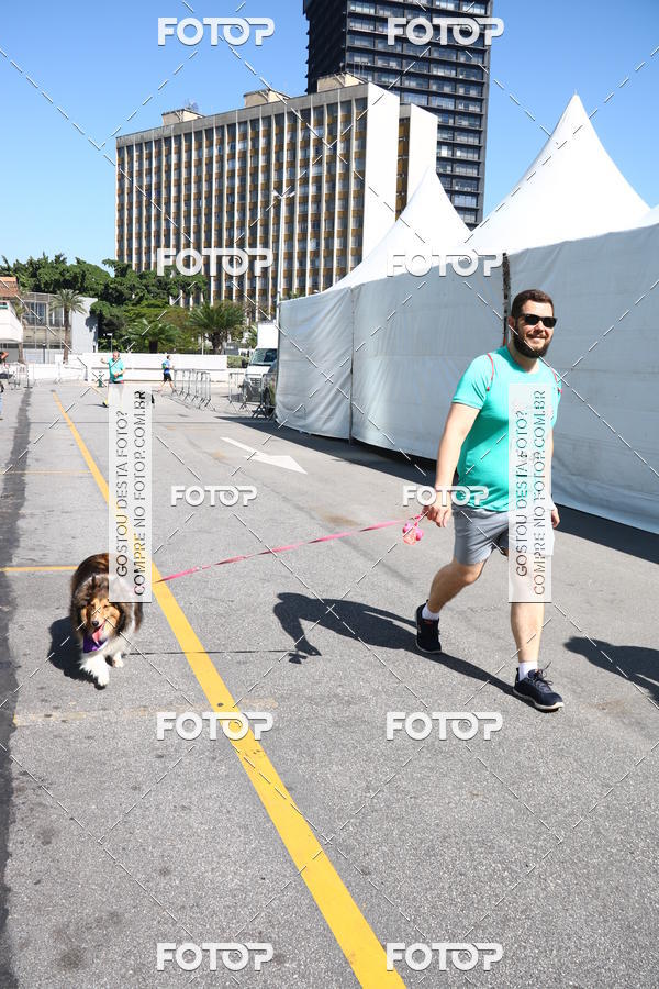 Buy your photos of the event2� Pet Run Shopping Eldorado  on Fotop