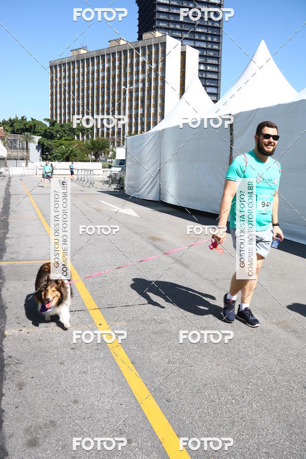 Buy your photos of the event2� Pet Run Shopping Eldorado  on Fotop