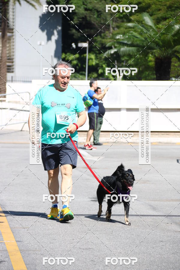 Buy your photos of the event2� Pet Run Shopping Eldorado  on Fotop