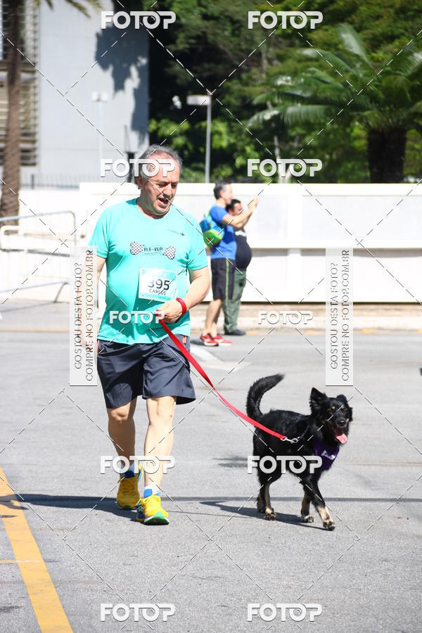 Buy your photos of the event2� Pet Run Shopping Eldorado  on Fotop