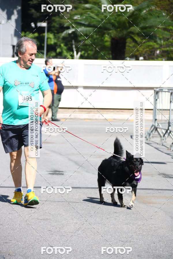 Buy your photos of the event2� Pet Run Shopping Eldorado  on Fotop