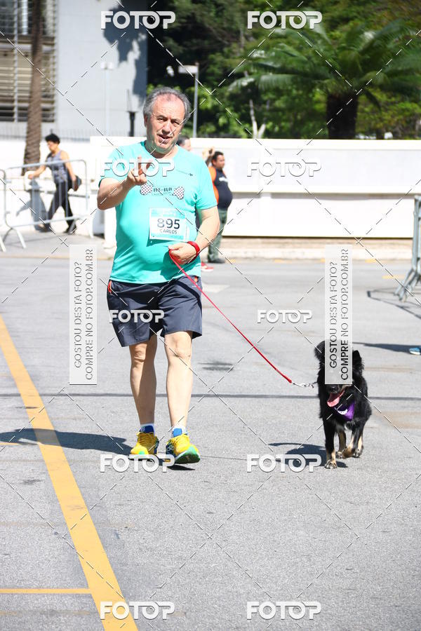 Buy your photos of the event2� Pet Run Shopping Eldorado  on Fotop