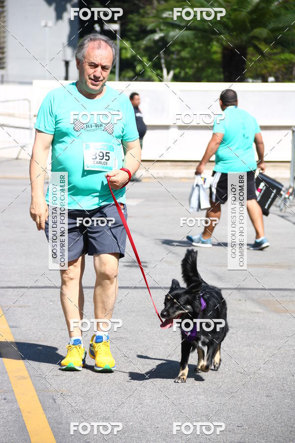 Buy your photos of the event2� Pet Run Shopping Eldorado  on Fotop