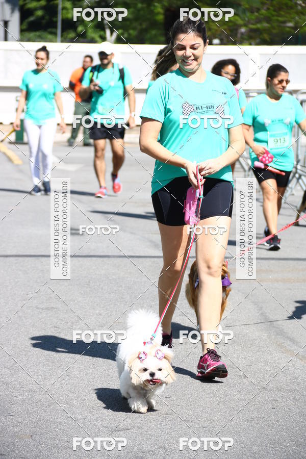 Buy your photos of the event2� Pet Run Shopping Eldorado  on Fotop