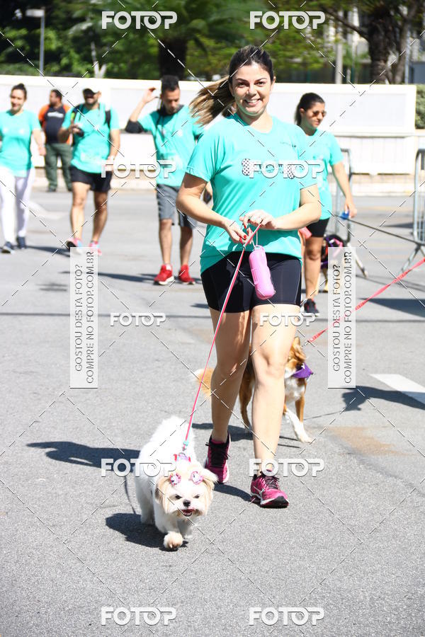 Buy your photos of the event2� Pet Run Shopping Eldorado  on Fotop