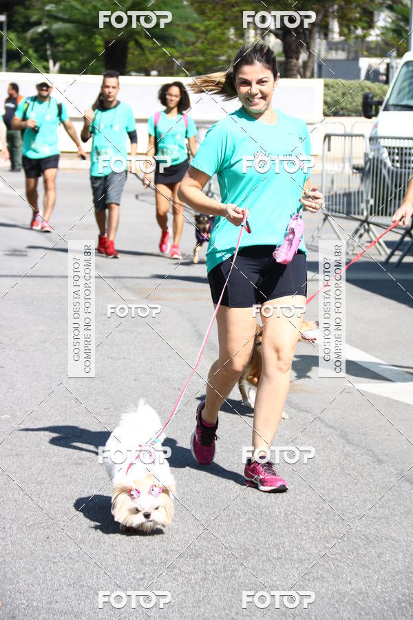 Buy your photos of the event2� Pet Run Shopping Eldorado  on Fotop