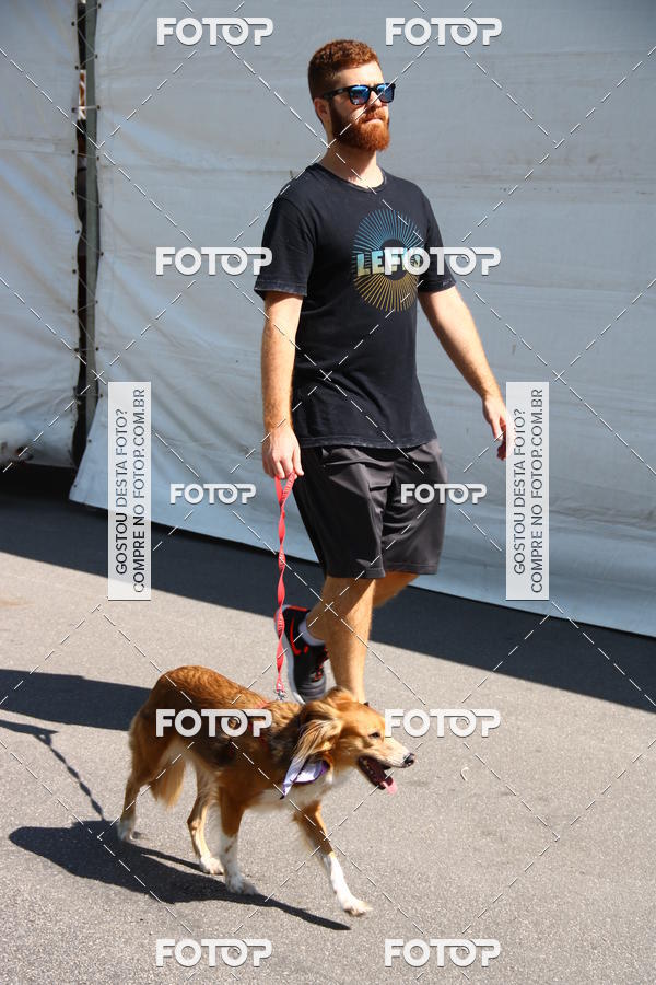 Buy your photos of the event2� Pet Run Shopping Eldorado  on Fotop