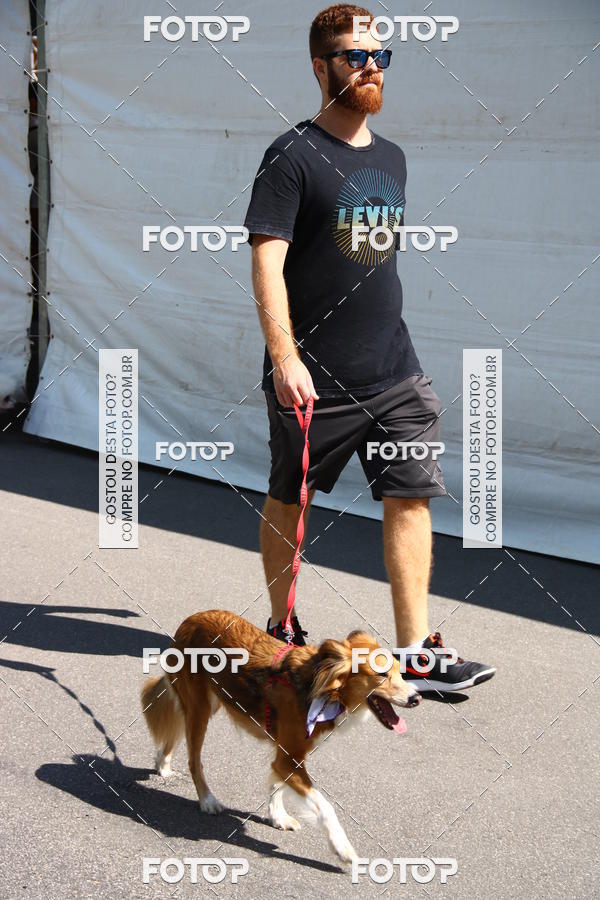 Buy your photos of the event2� Pet Run Shopping Eldorado  on Fotop