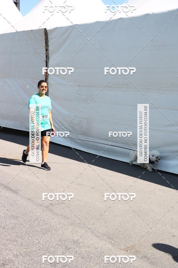 Buy your photos of the event2� Pet Run Shopping Eldorado  on Fotop