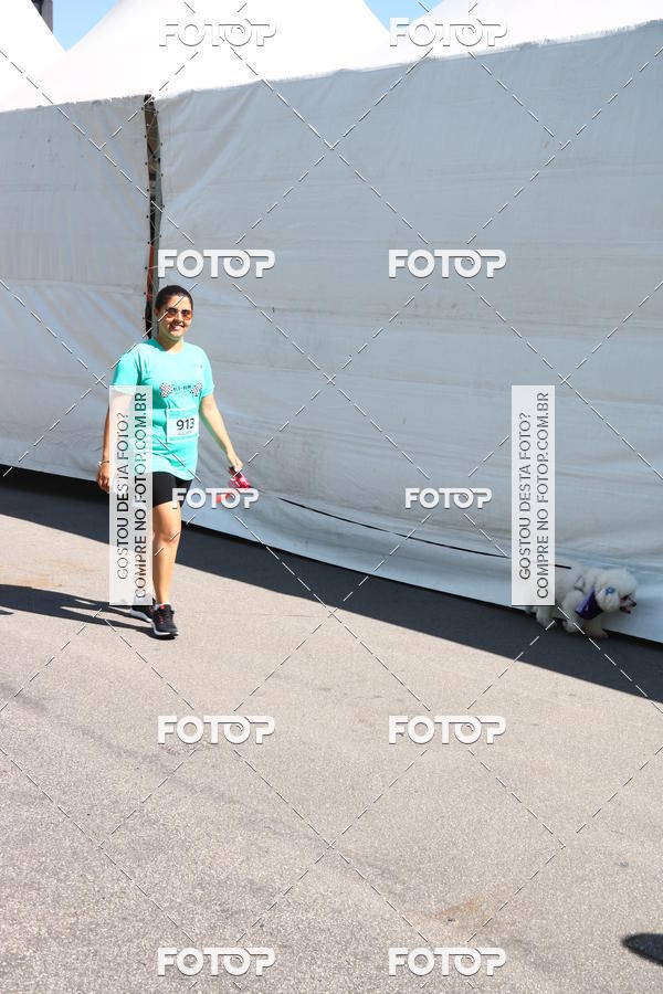 Buy your photos of the event2� Pet Run Shopping Eldorado  on Fotop