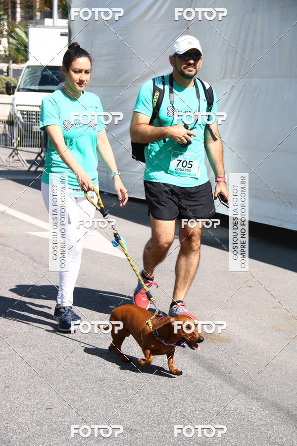 Buy your photos of the event2� Pet Run Shopping Eldorado  on Fotop