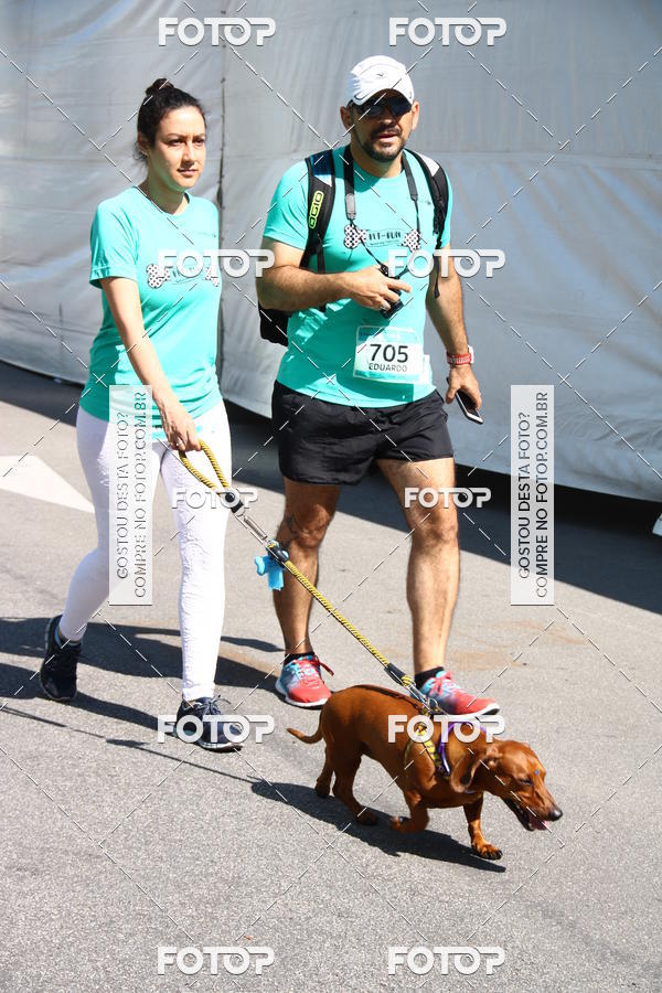 Buy your photos of the event2� Pet Run Shopping Eldorado  on Fotop