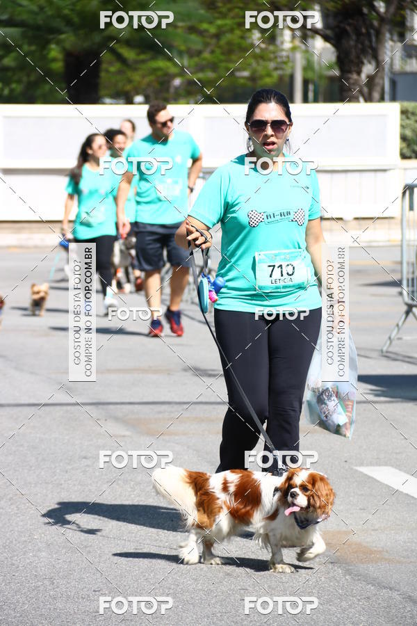 Buy your photos of the event2� Pet Run Shopping Eldorado  on Fotop