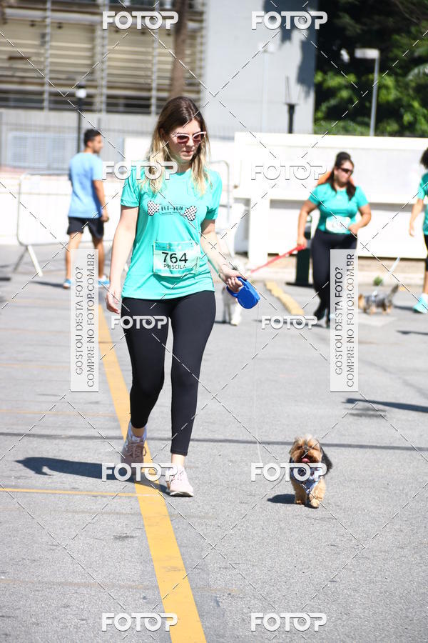 Buy your photos of the event2� Pet Run Shopping Eldorado  on Fotop