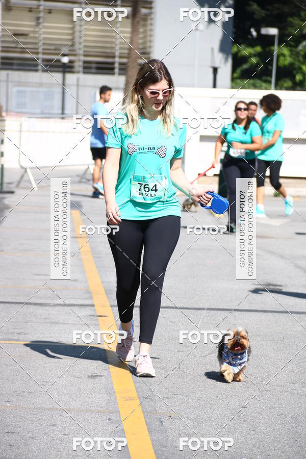 Buy your photos of the event2� Pet Run Shopping Eldorado  on Fotop