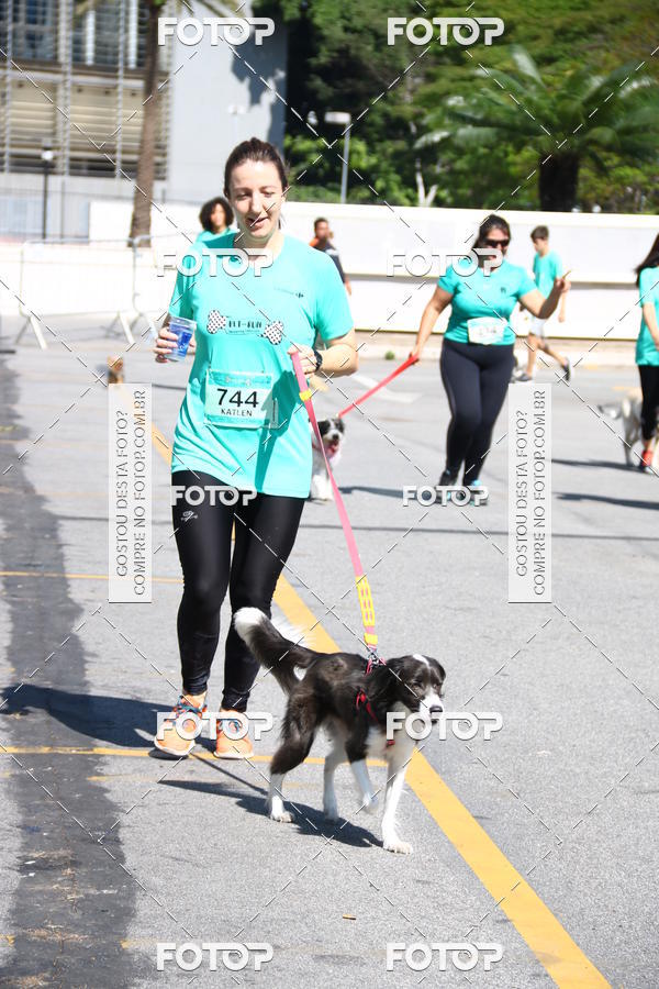 Buy your photos of the event2� Pet Run Shopping Eldorado  on Fotop