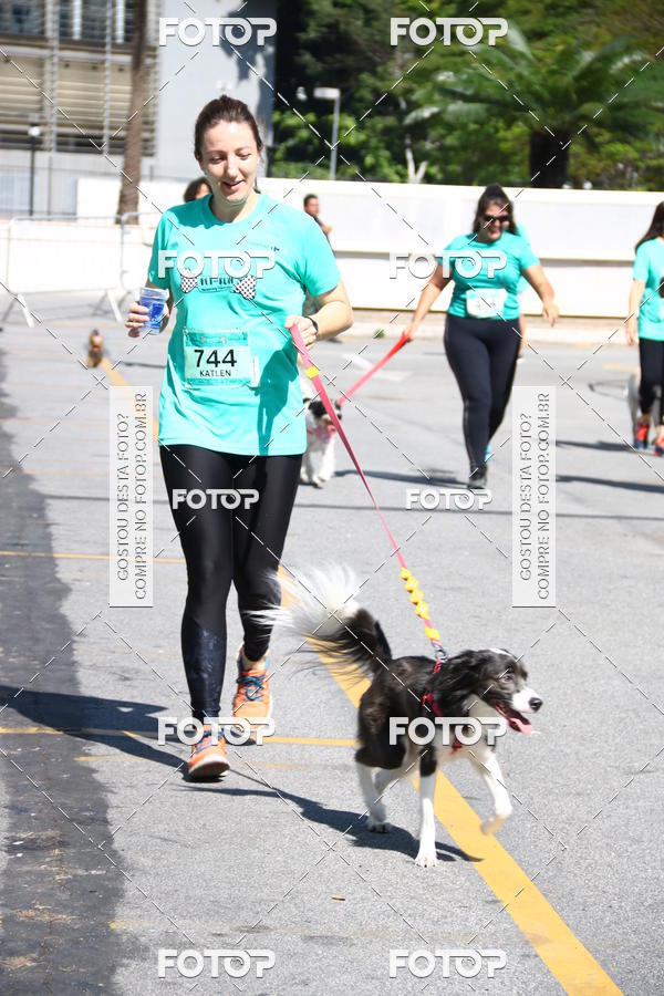 Buy your photos of the event2� Pet Run Shopping Eldorado  on Fotop