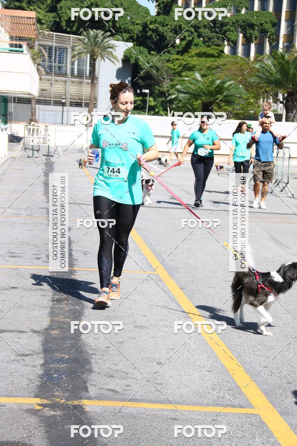 Buy your photos of the event2� Pet Run Shopping Eldorado  on Fotop