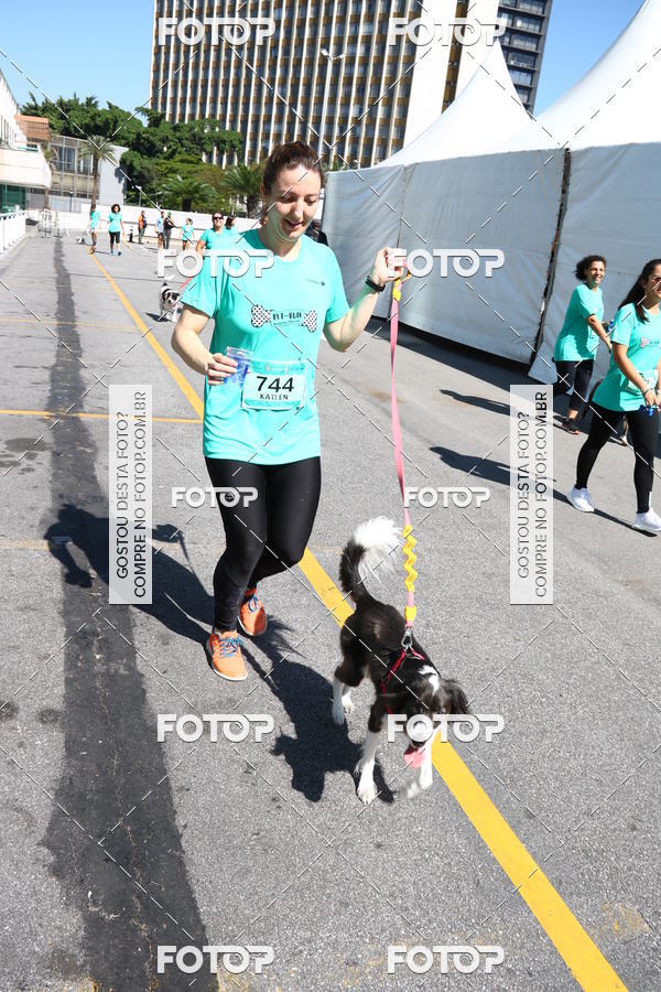 Buy your photos of the event2� Pet Run Shopping Eldorado  on Fotop