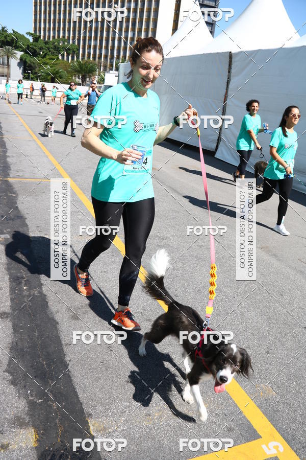 Buy your photos of the event2� Pet Run Shopping Eldorado  on Fotop