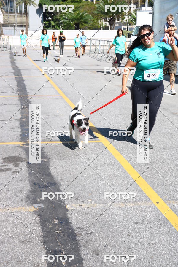 Buy your photos of the event2� Pet Run Shopping Eldorado  on Fotop