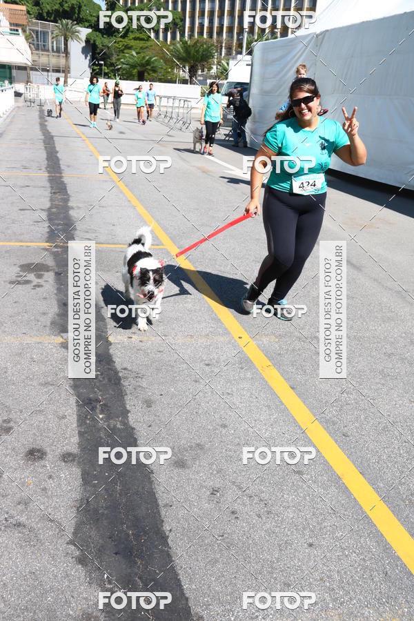 Buy your photos of the event2� Pet Run Shopping Eldorado  on Fotop