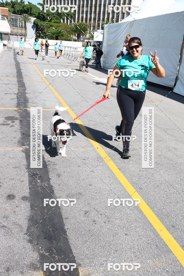 Buy your photos of the event2� Pet Run Shopping Eldorado  on Fotop