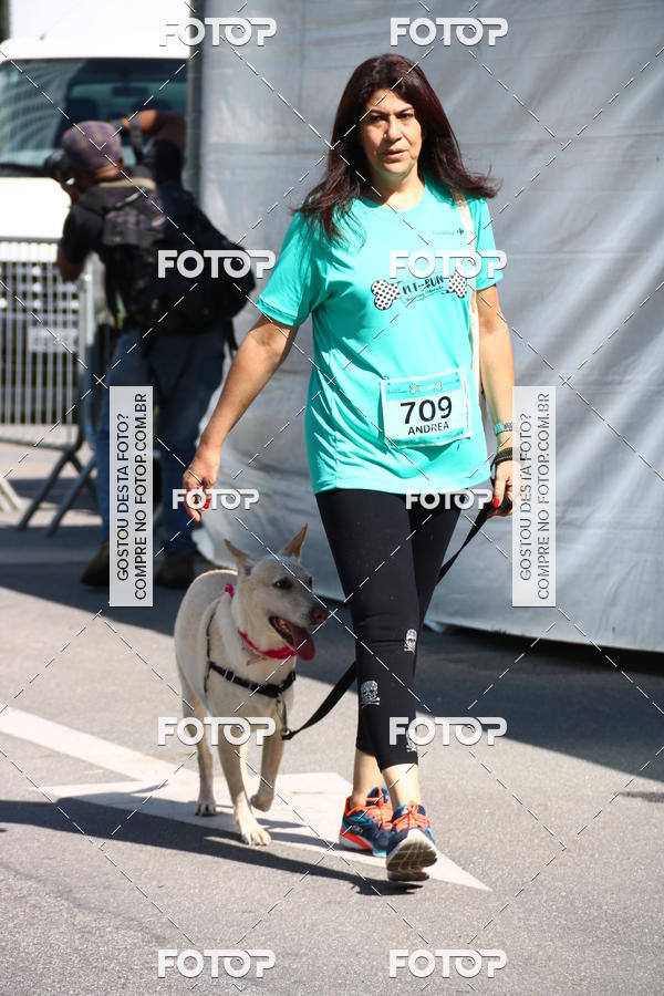 Buy your photos of the event2� Pet Run Shopping Eldorado  on Fotop