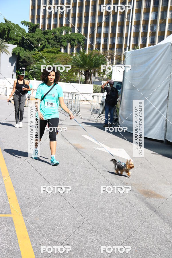 Buy your photos of the event2� Pet Run Shopping Eldorado  on Fotop