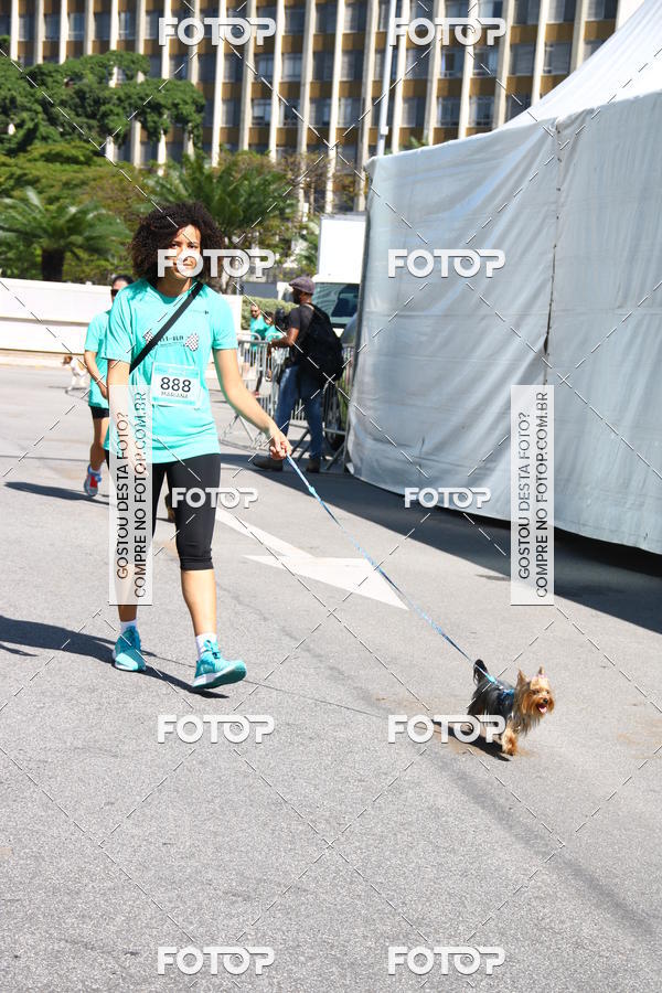 Buy your photos of the event2� Pet Run Shopping Eldorado  on Fotop