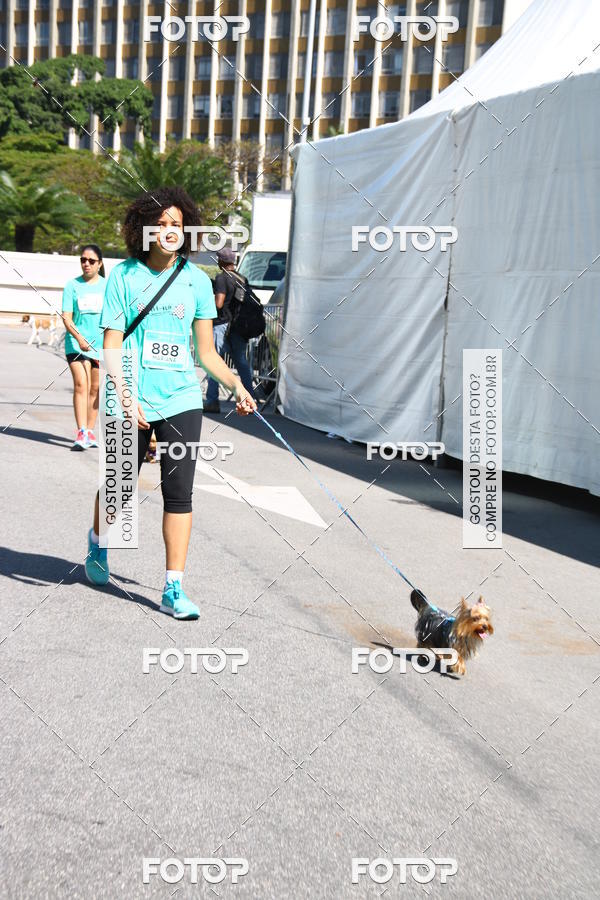 Buy your photos of the event2� Pet Run Shopping Eldorado  on Fotop