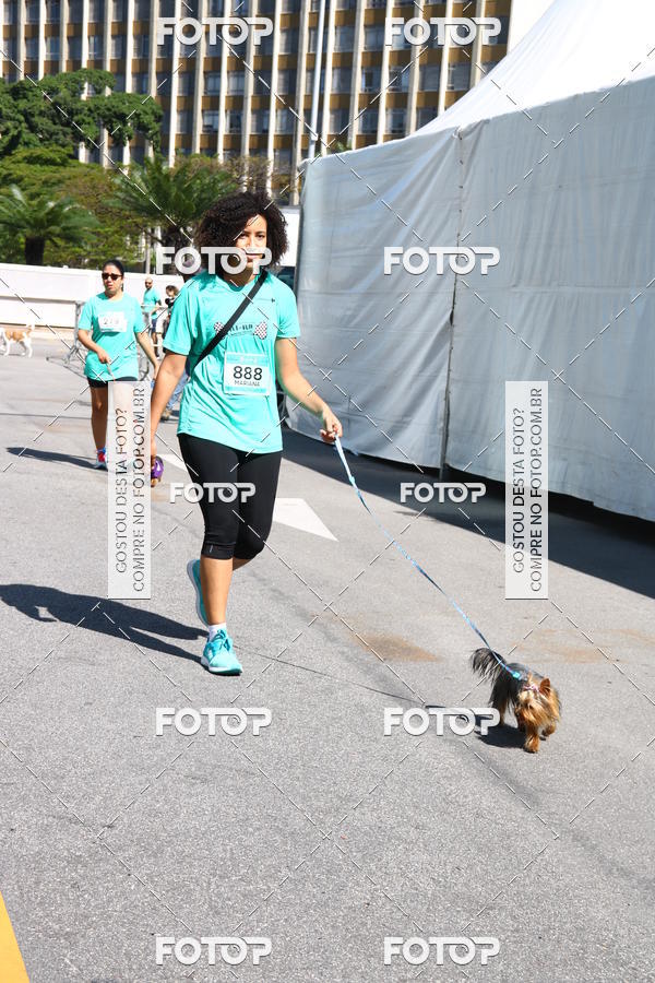 Buy your photos of the event2� Pet Run Shopping Eldorado  on Fotop