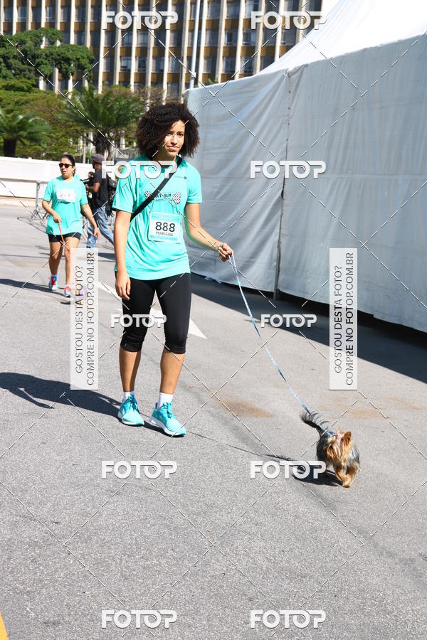 Buy your photos of the event2� Pet Run Shopping Eldorado  on Fotop