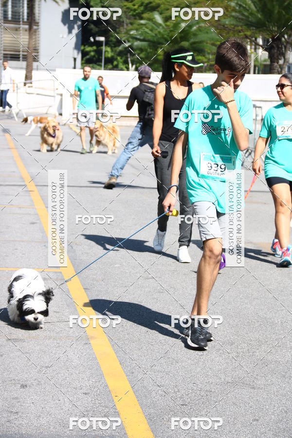 Buy your photos of the event2� Pet Run Shopping Eldorado  on Fotop