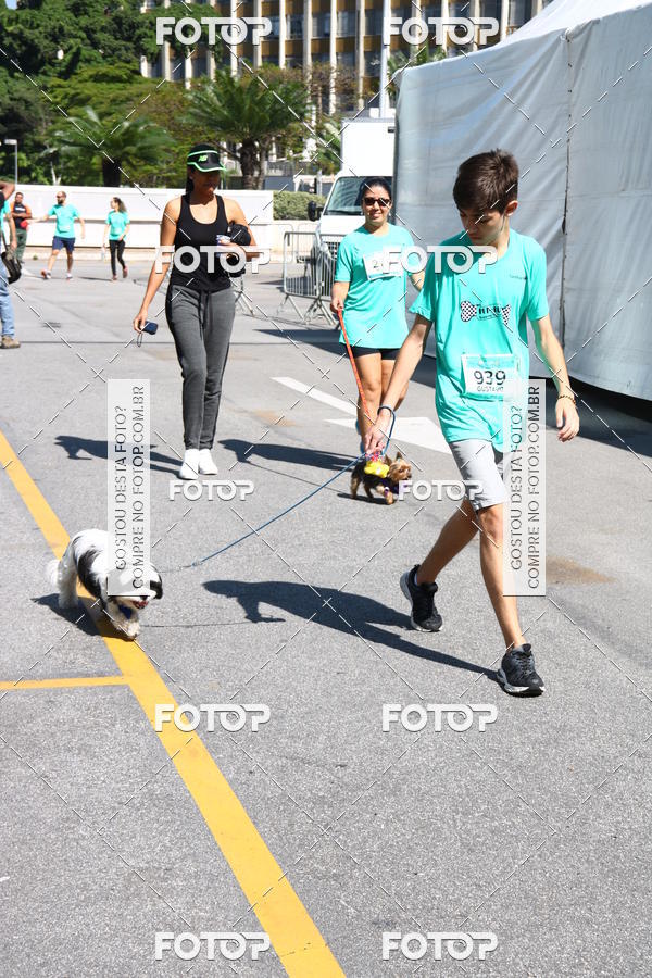 Buy your photos of the event2� Pet Run Shopping Eldorado  on Fotop