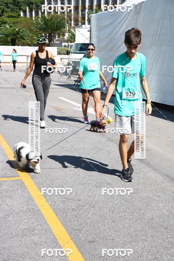 Buy your photos of the event2� Pet Run Shopping Eldorado  on Fotop