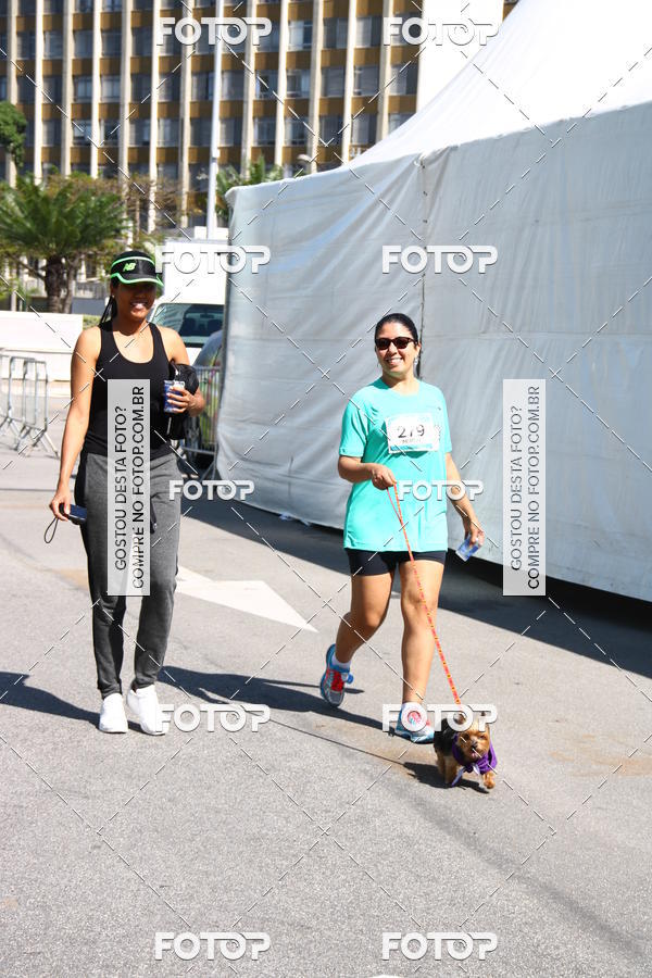 Buy your photos of the event2� Pet Run Shopping Eldorado  on Fotop