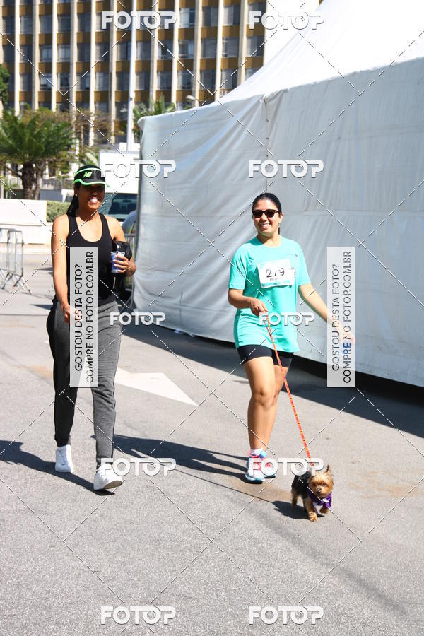 Buy your photos of the event2� Pet Run Shopping Eldorado  on Fotop